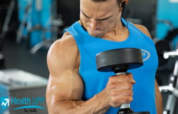 What s The Average Bicep Size By Age Sex Health UPP 2020 what-s-the-average-bicep-size-by-age-sex-health-upp-2020