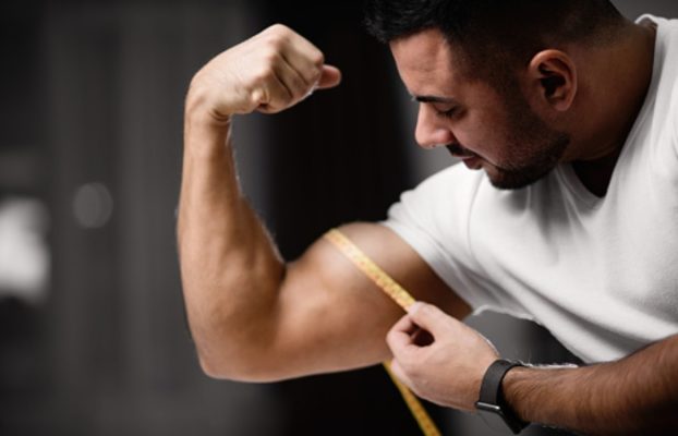 What’s the Average Bicep Size by Age & Sex Health UPP 2020