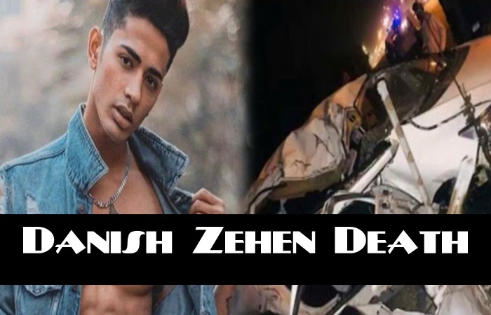 Danish Zehen Biography Girlfriend Family Net Worth Health Upp 2020