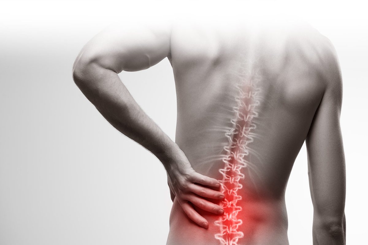 A Complete Guideline for Spinal Pain – 2024