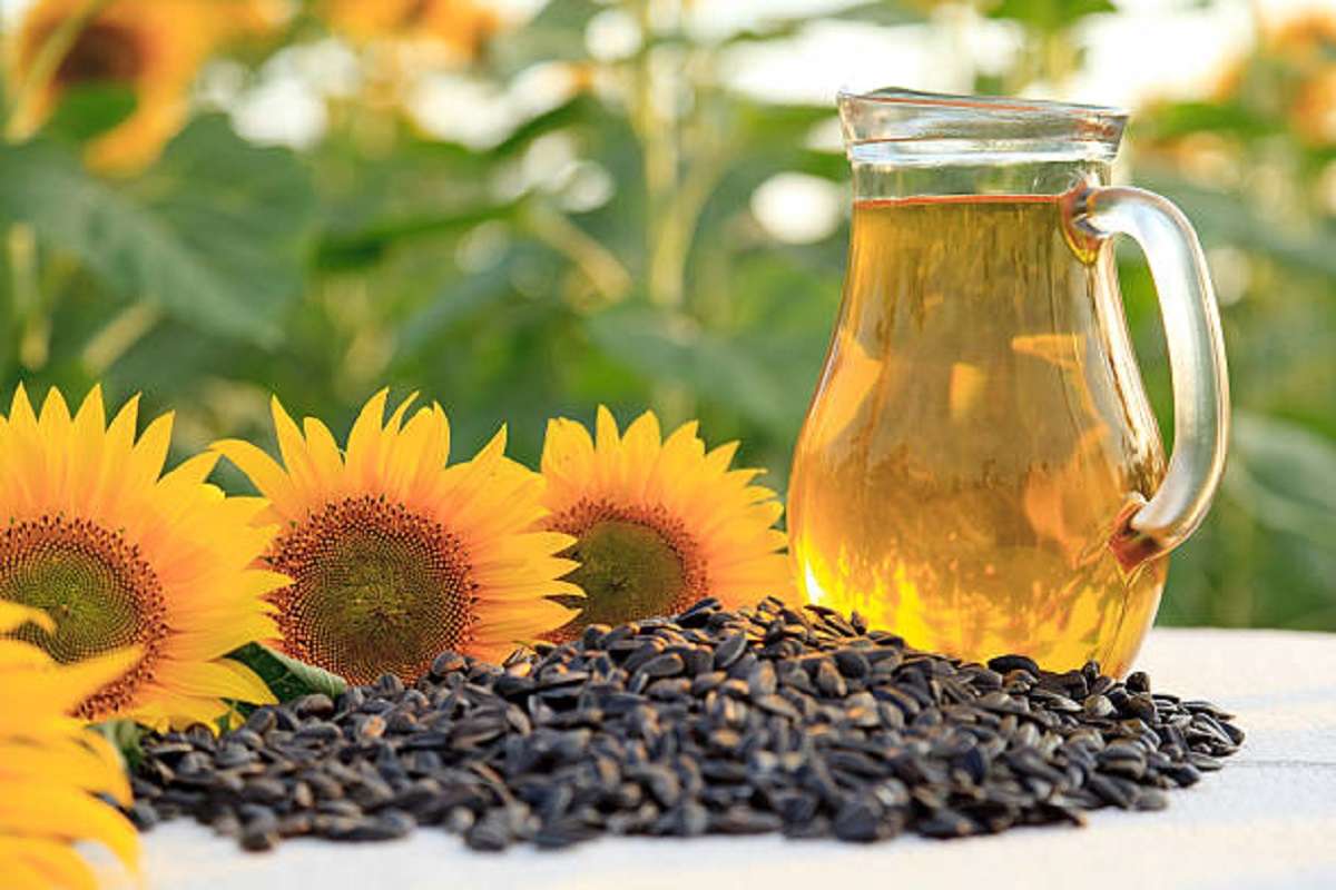 Sunflower Oil for Hair: Benefits and Ways to Use It – 2024