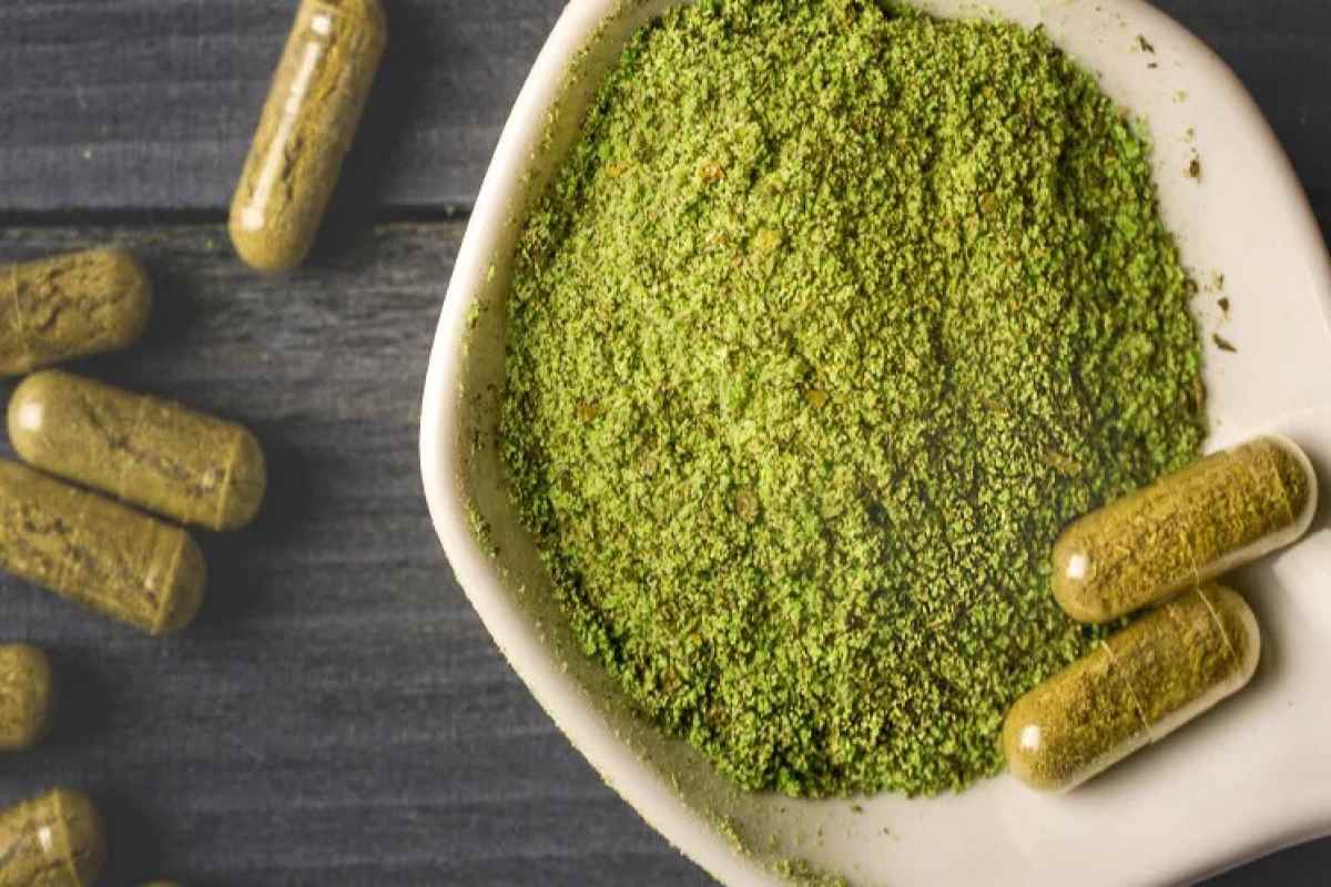 A Guide on Red Borneo Kratom – 2024