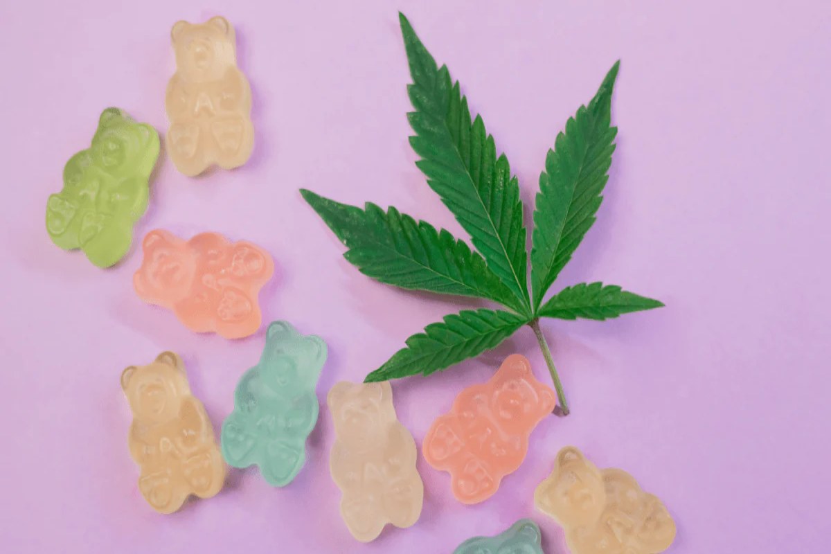 What Is Delta 8 Edibles? Everything You Need to Know – 2024