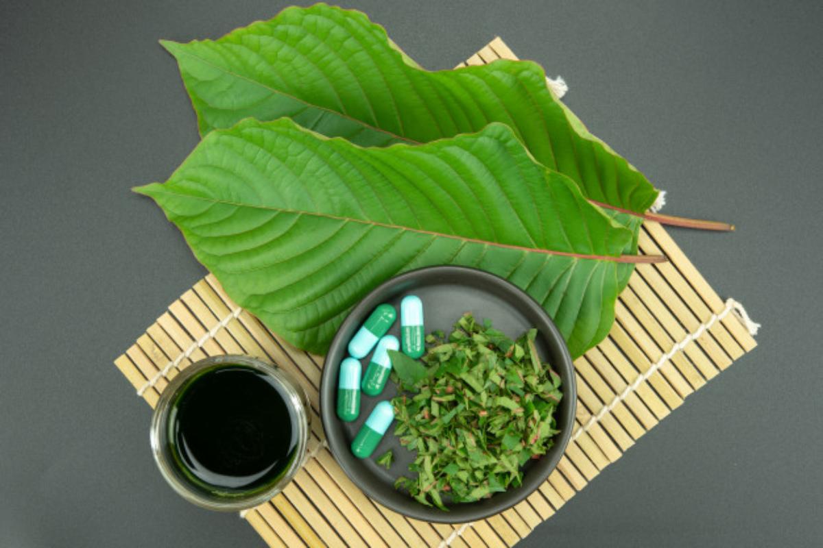 Best Kratom Strains you Can Buy in 2023