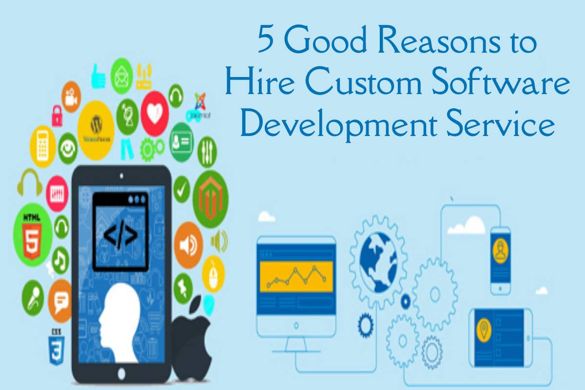 Reasons to Hire Custom Software Development Service – 2023