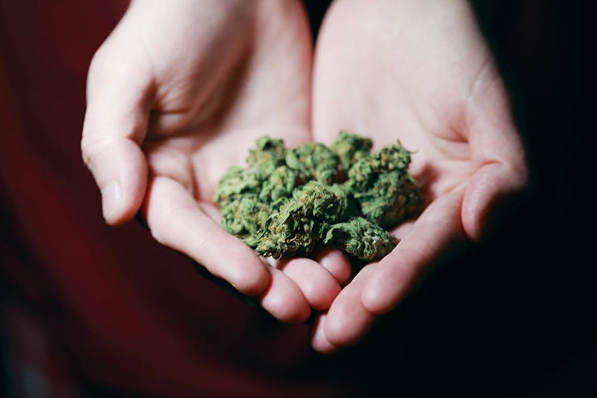 Give Your House Party a Boost by Getting Weed Delivering to You