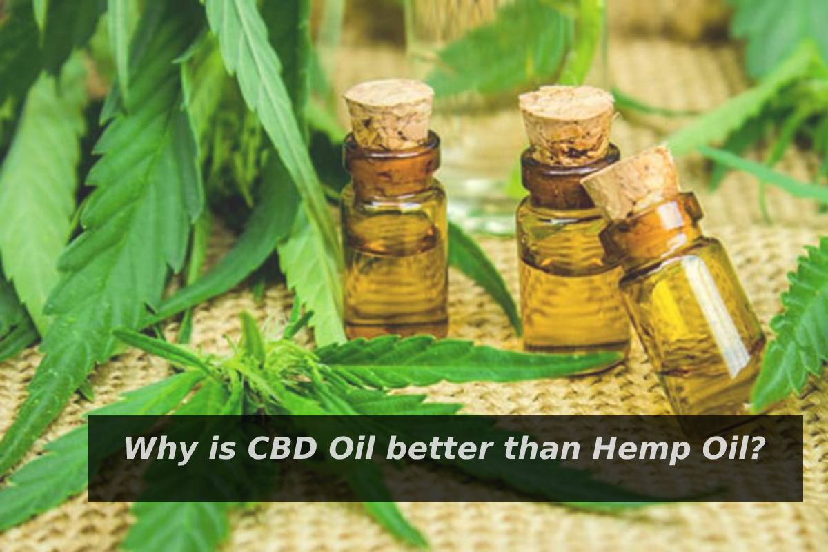 Why is CBD Oil better than Hemp Oil? – 2023