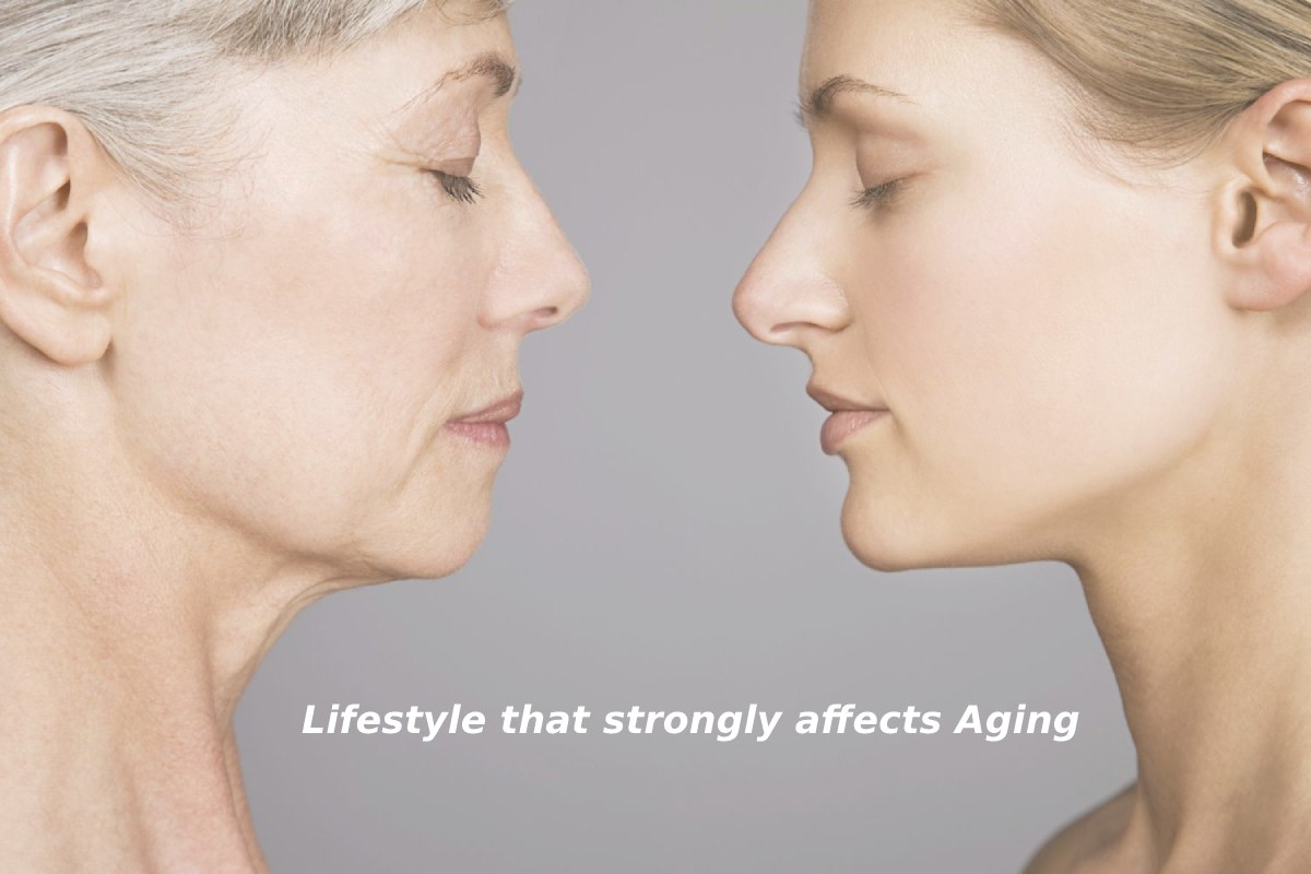 Lifestyle that strongly affects Aging – 2024