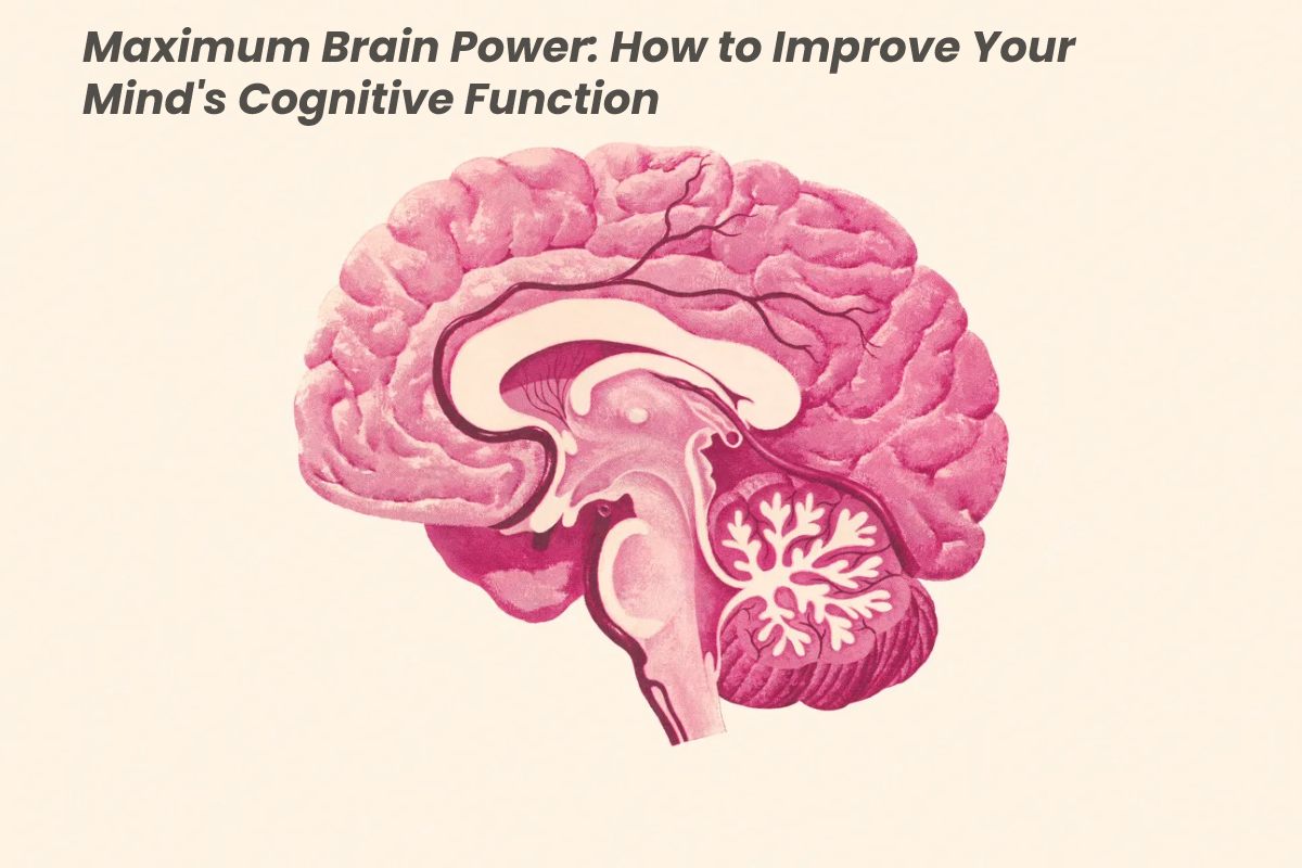 Maximum Brain Power: How to Improve Your Mind – 2023
