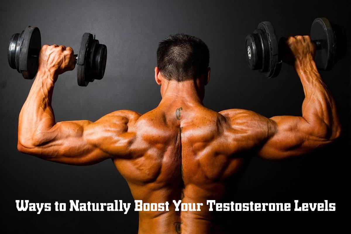 Naturally Boost Your Testosterone Levels – 2024