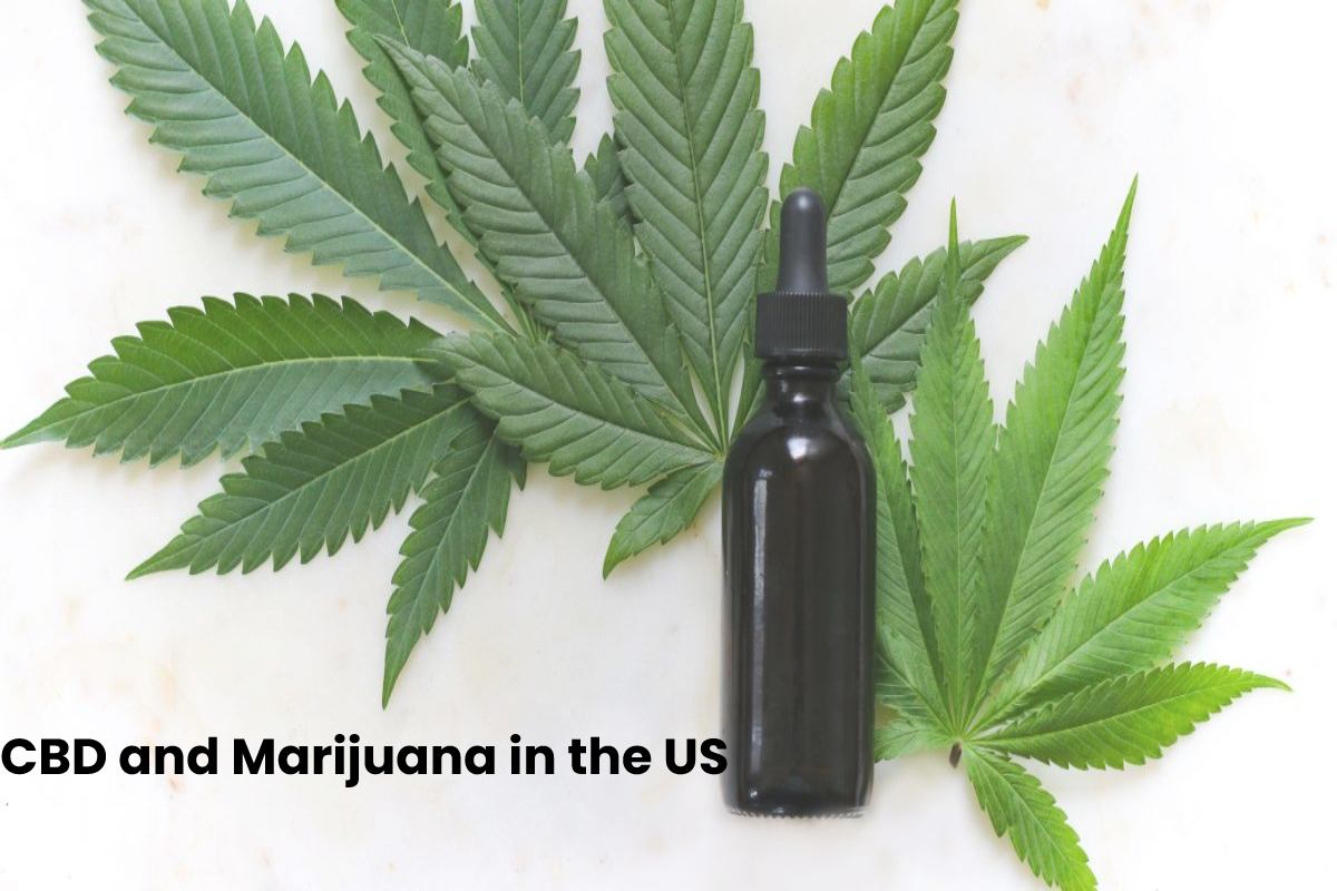 CBD and Marijuana in the US – 2024