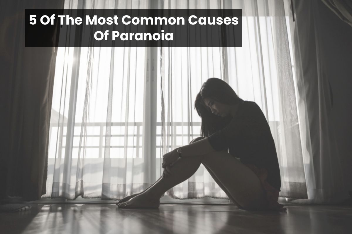 5 Of The Most Common Causes Of Paranoia – 2024