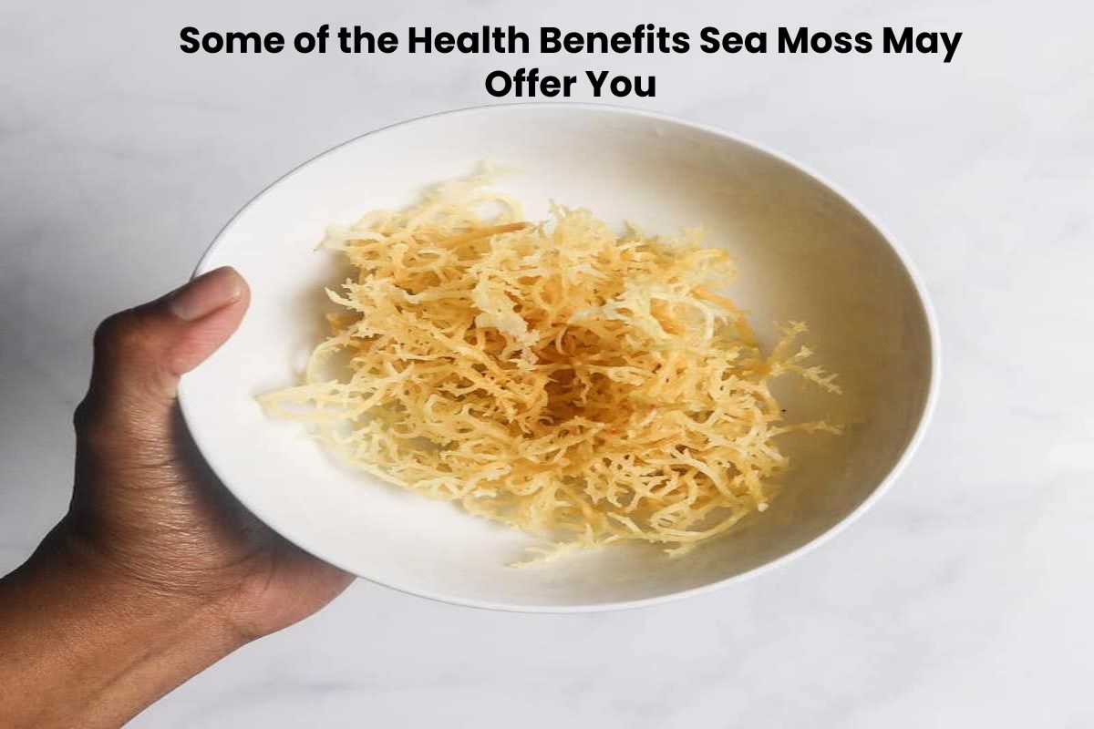 Some of the Health Benefits Sea Moss May Offer You