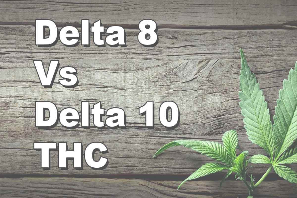 Delta 10 vs. Delta 8 – 2023