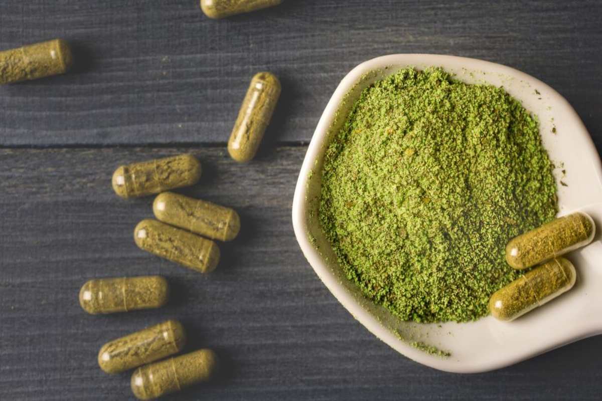 Dispelling the Myths On Kratom – 2024