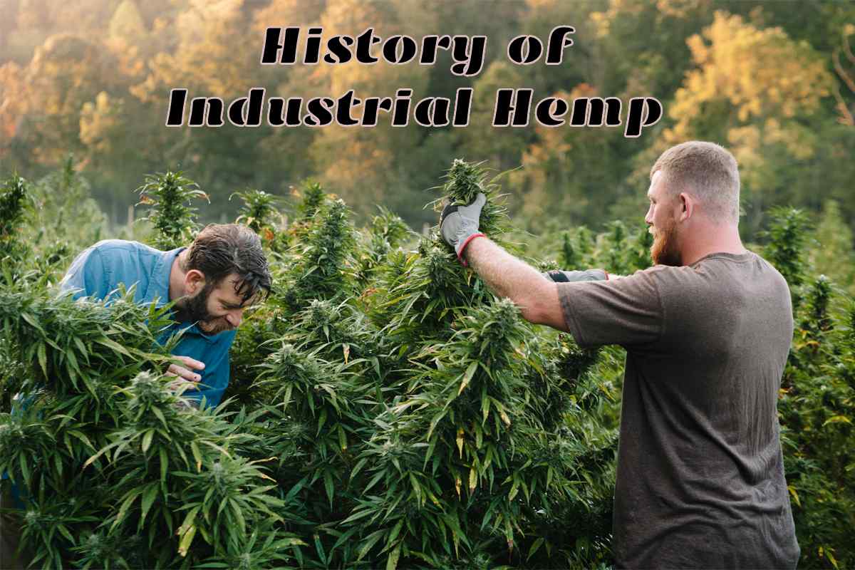 The History of Industrial Hemp – 2024