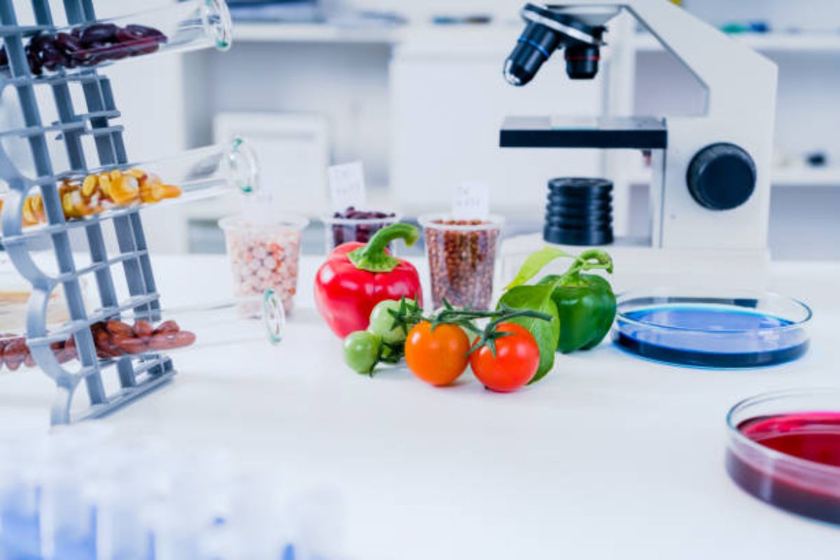 Chemical Test Services for Food And Agricultural – 2023