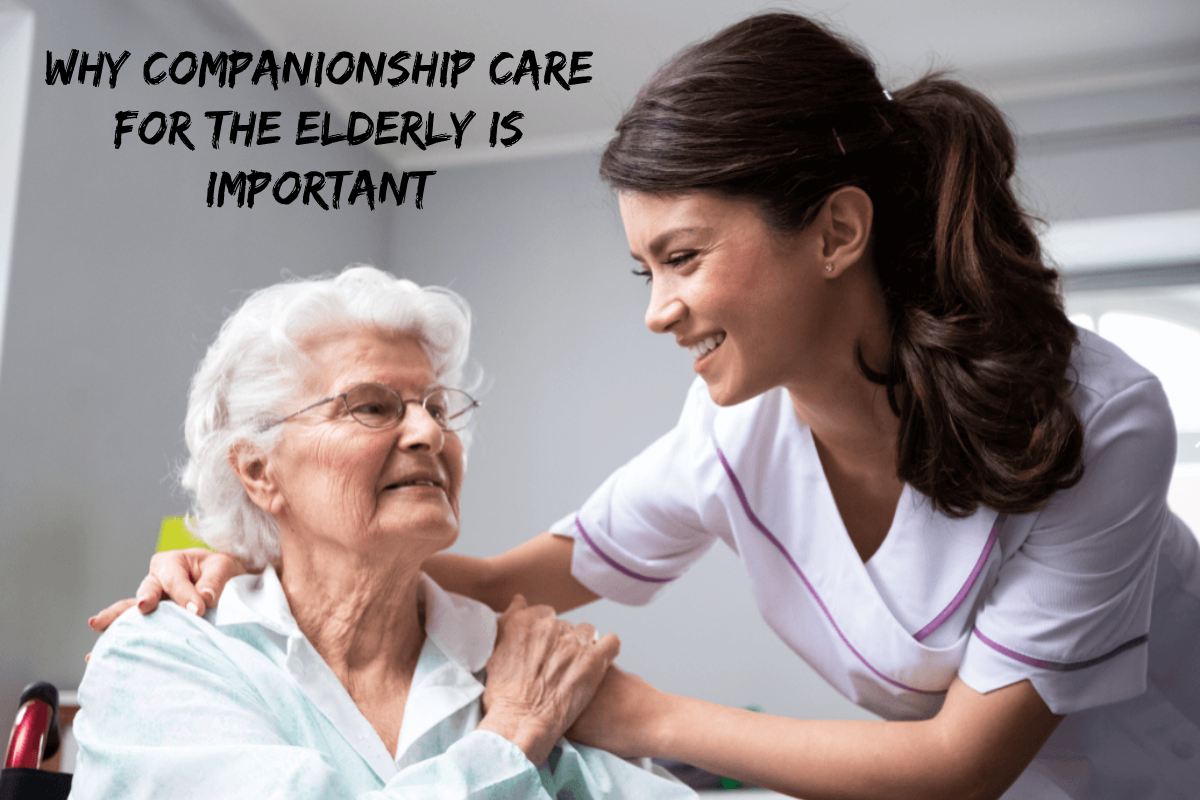 Why is Companionship Care for the Elderly Important? – 2023