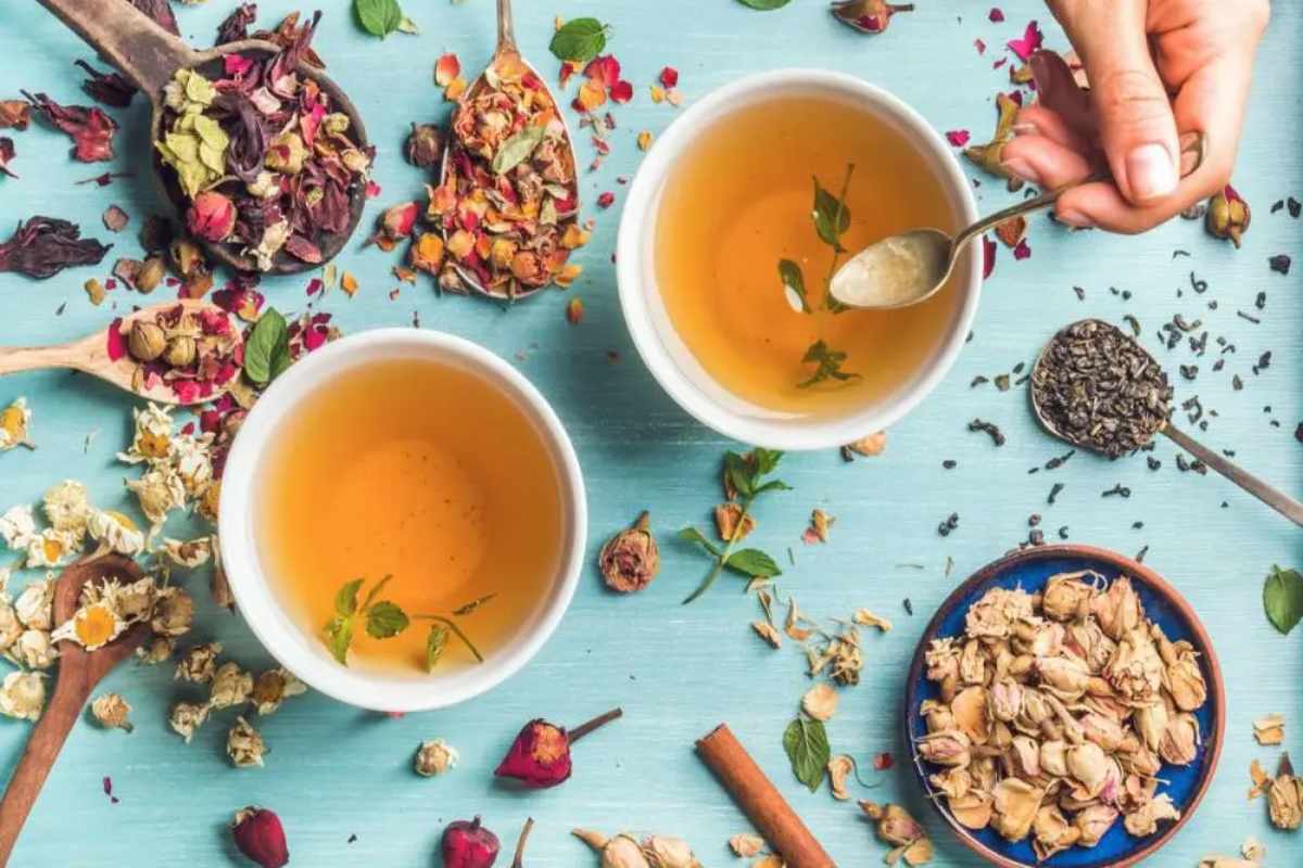 Wellness Tea Benefits and History – 2023