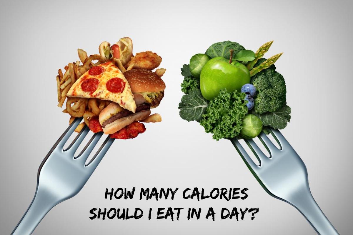 How Many Calories Should I Eat in a Day? – 2023