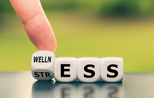 How Wellness Transforms Your Body and Mind