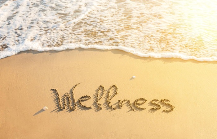 Why Wellness Is Important