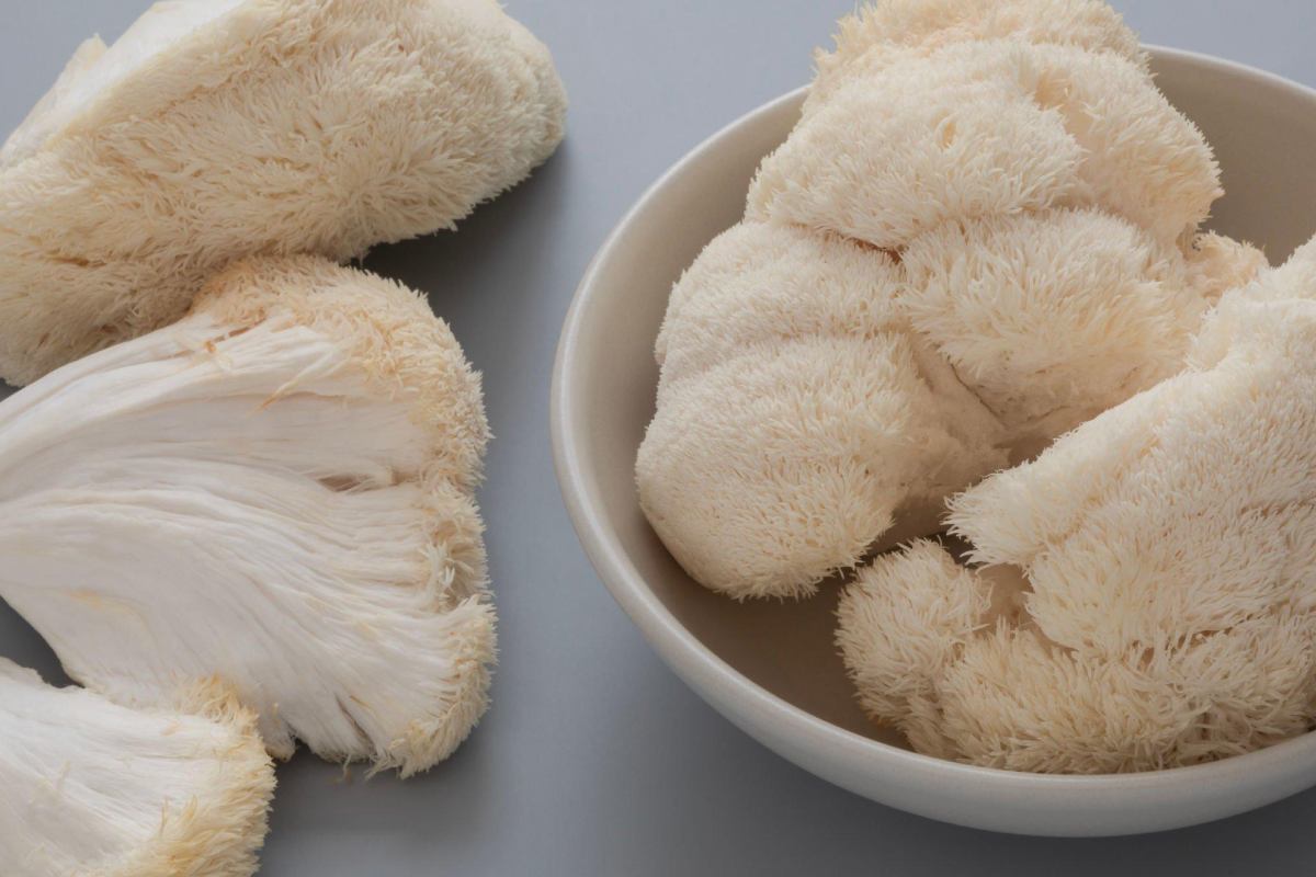 The Benefits of Lion’s Mane Mushrooms – 2024