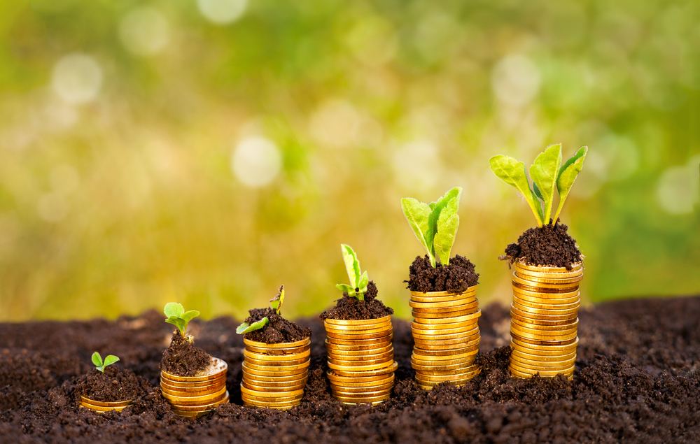 Different Types Of ULIP Funds- Your Guide To Fund Switching And Maximizing Returns