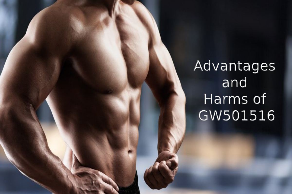 Advantages and Harms of GW501516 – 2024