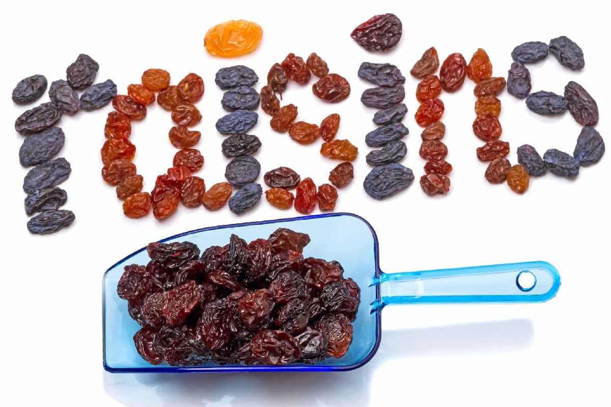 How Raisins Can Help in Weight Gain? – 2023
