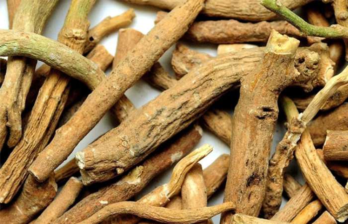 Following are Some of the Major Aswagandharishtam Benefits in Hindi_