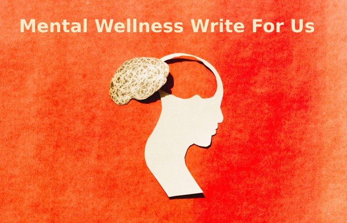 Mental Wellness Write For Us