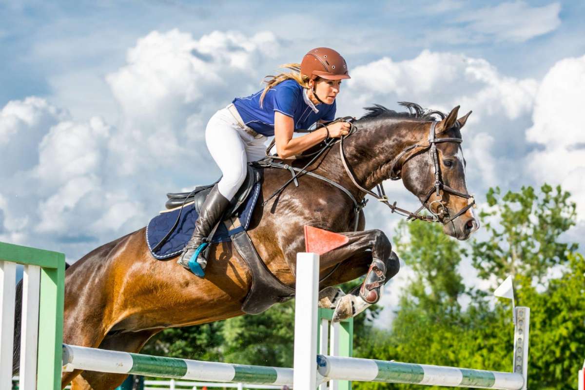 What is the Fitness Routine of a Horse Jockey? – 2024