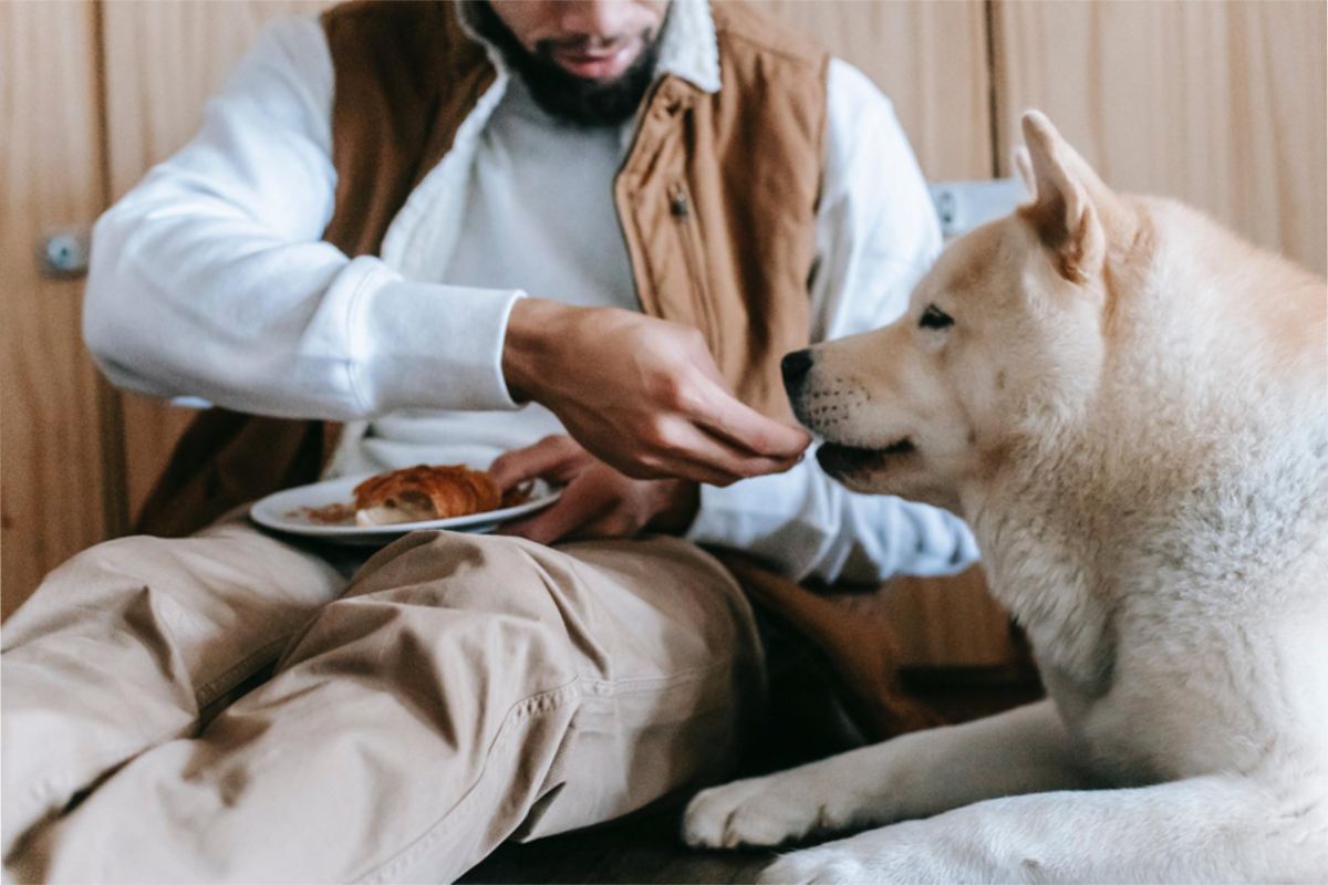 Superfoods for Your Super Pup: Boosting Canine Health Naturally