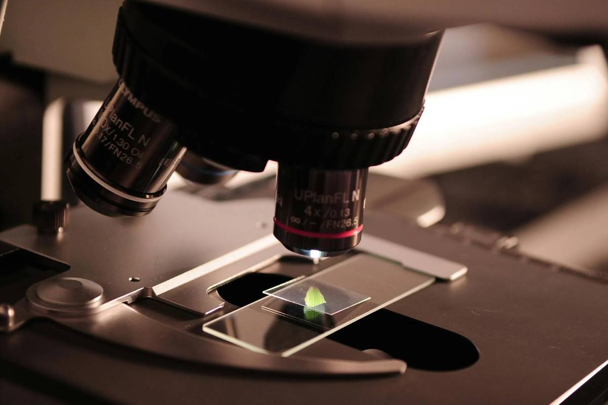 MK-677 and CJC 1295 Ipamorelin: Benefits and Usage