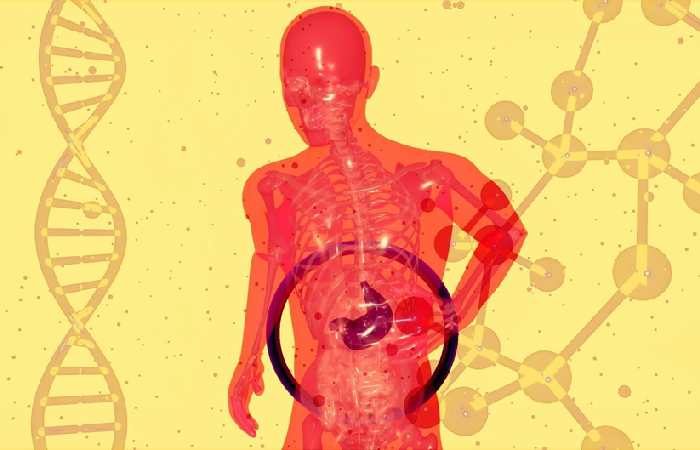 Mindfulness and Stress Management